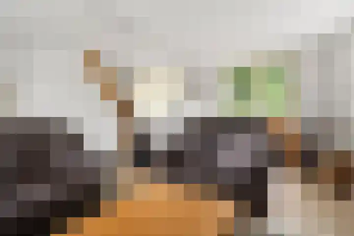 Hoge Valksedijk 12 Ede thumbnail 22