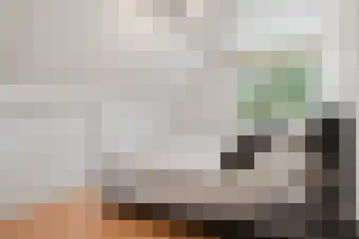 Hoge Valksedijk 12 Ede thumbnail 27