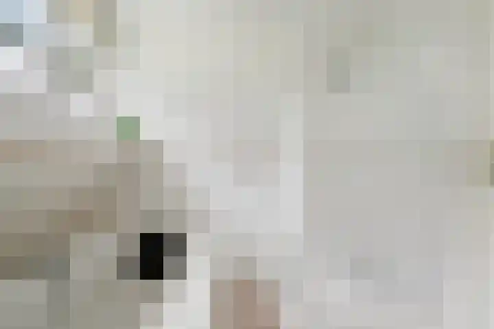 Hoge Valksedijk 12 Ede thumbnail 34