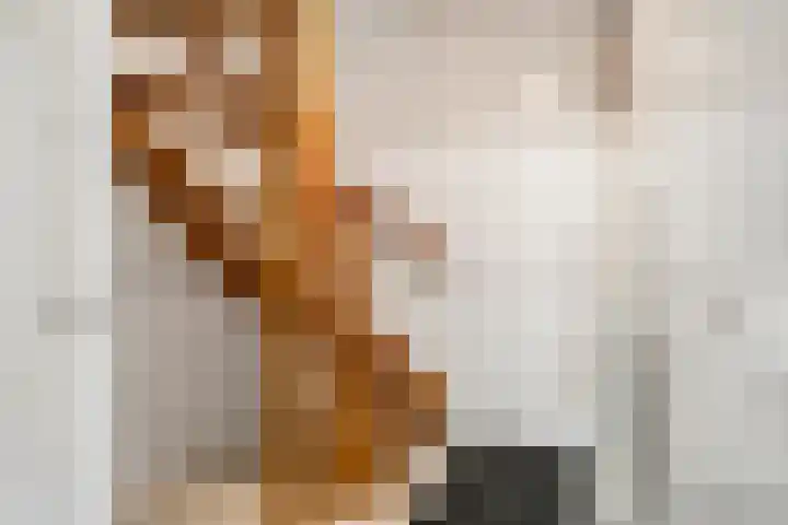 Hoge Valksedijk 12 Ede thumbnail 37
