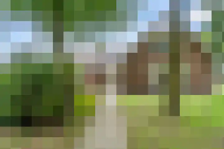 Hoge Valksedijk 12 Ede thumbnail 4
