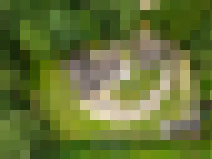 Hoge Valksedijk 12 Ede thumbnail 45
