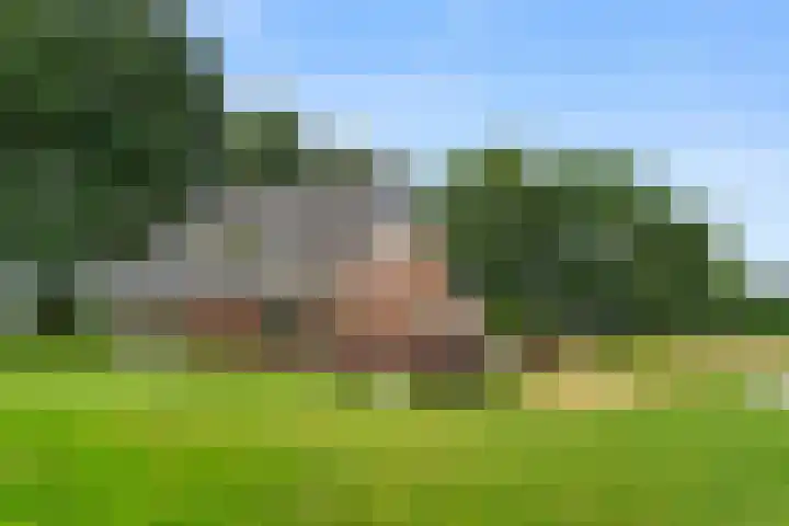 Hoge Valksedijk 12 Ede thumbnail 47