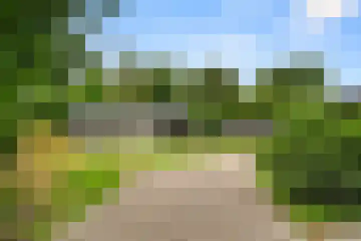 Hoge Valksedijk 12 Ede thumbnail 51