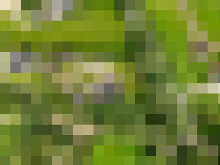 Hoge Valksedijk 12 Ede thumbnail 55
