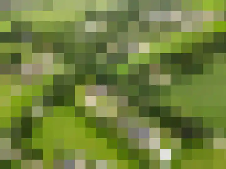 Hoge Valksedijk 12 Ede thumbnail 56