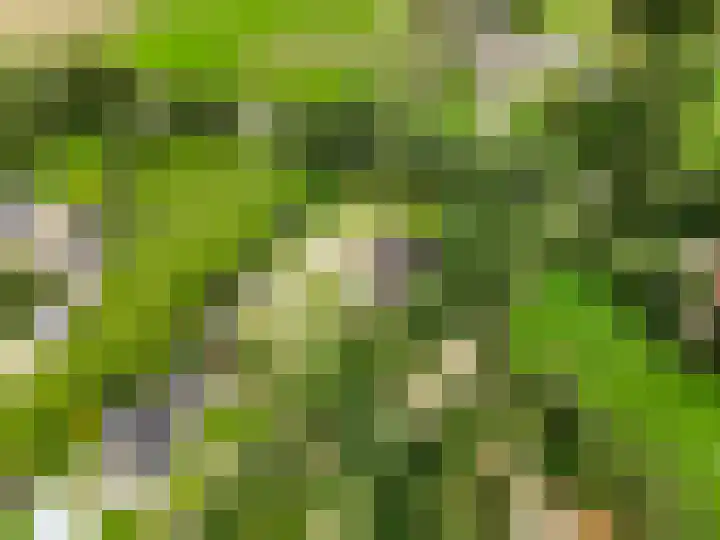 Hoge Valksedijk 12 Ede thumbnail 57