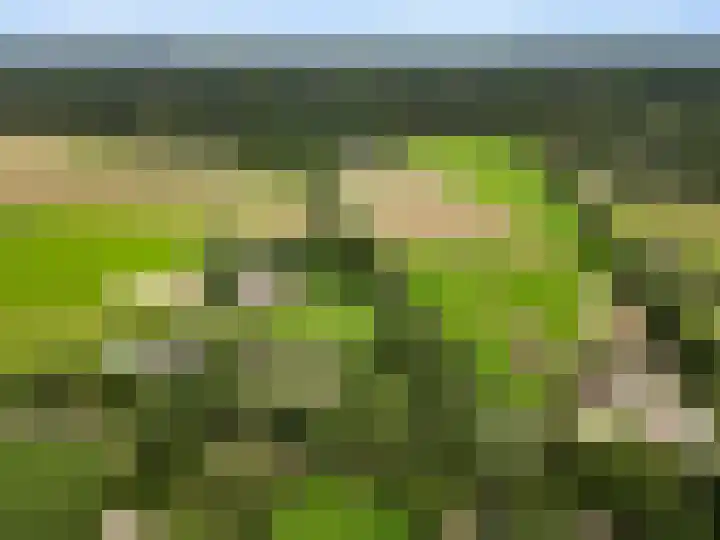 Hoge Valksedijk 12 Ede thumbnail 58