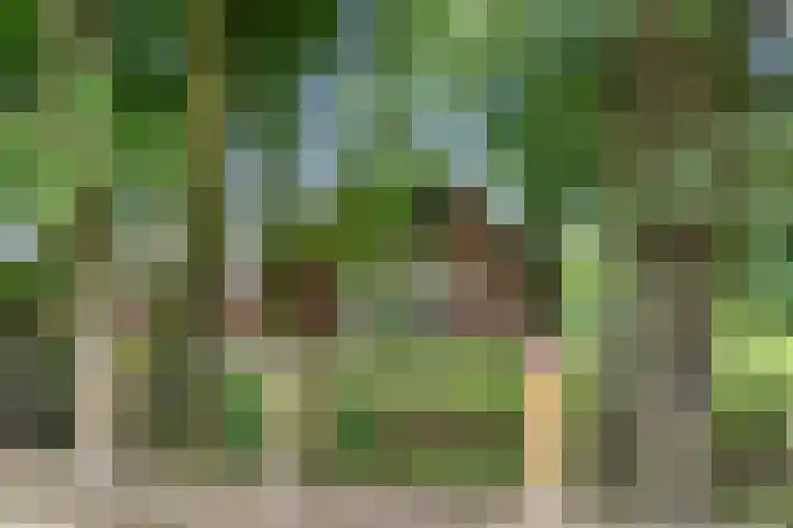 Hoge Valksedijk 12 Ede thumbnail 59