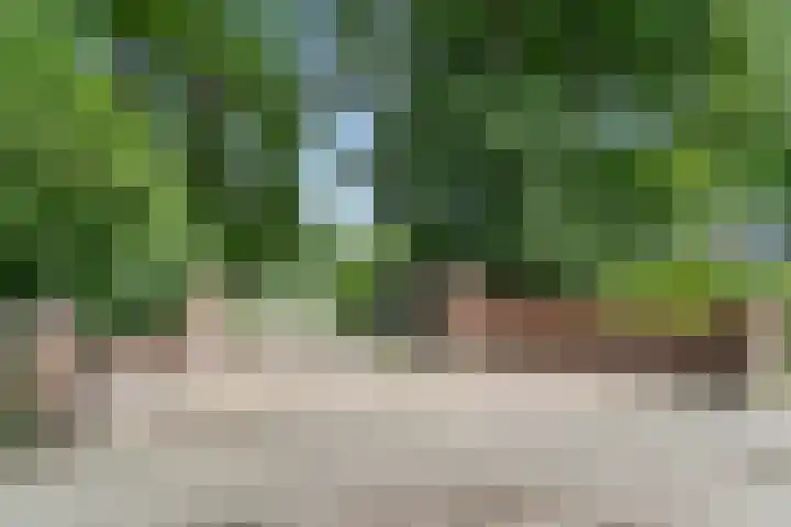 Hoge Valksedijk 12 Ede thumbnail 60