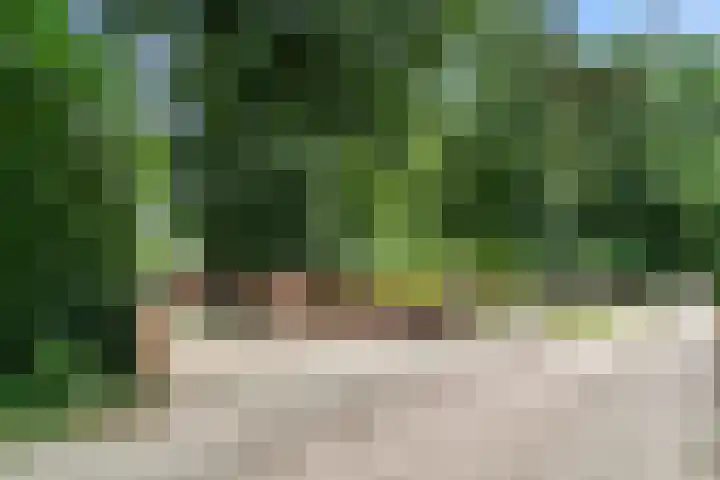 Hoge Valksedijk 12 Ede thumbnail 61