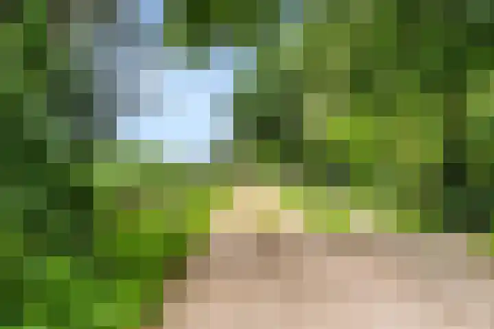 Hoge Valksedijk 12 Ede thumbnail 62
