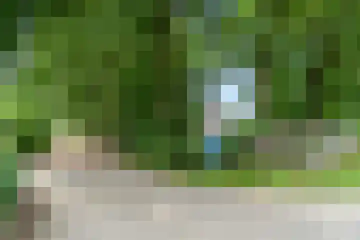 Hoge Valksedijk 12 Ede thumbnail 63