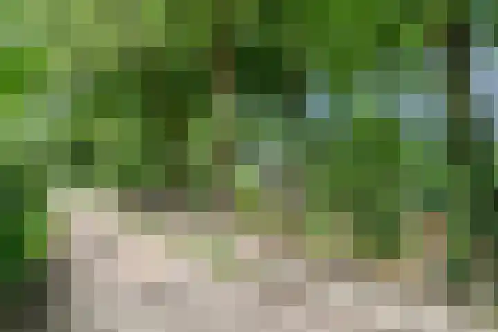Hoge Valksedijk 12 Ede thumbnail 64