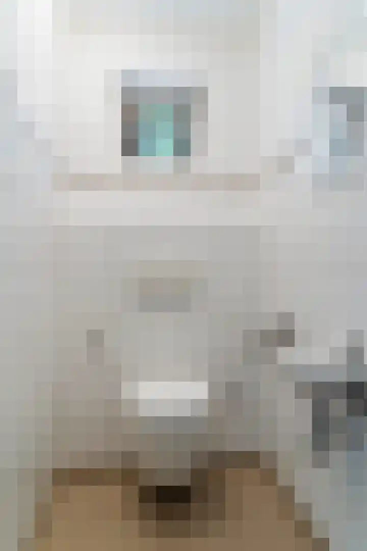 Hoge Valksedijk 12 Ede thumbnail 9