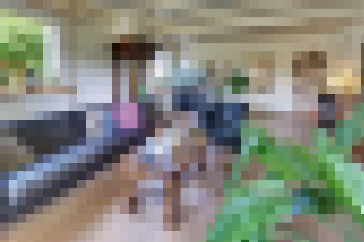 Hoge Varenweg 9 Hierden thumbnail 15