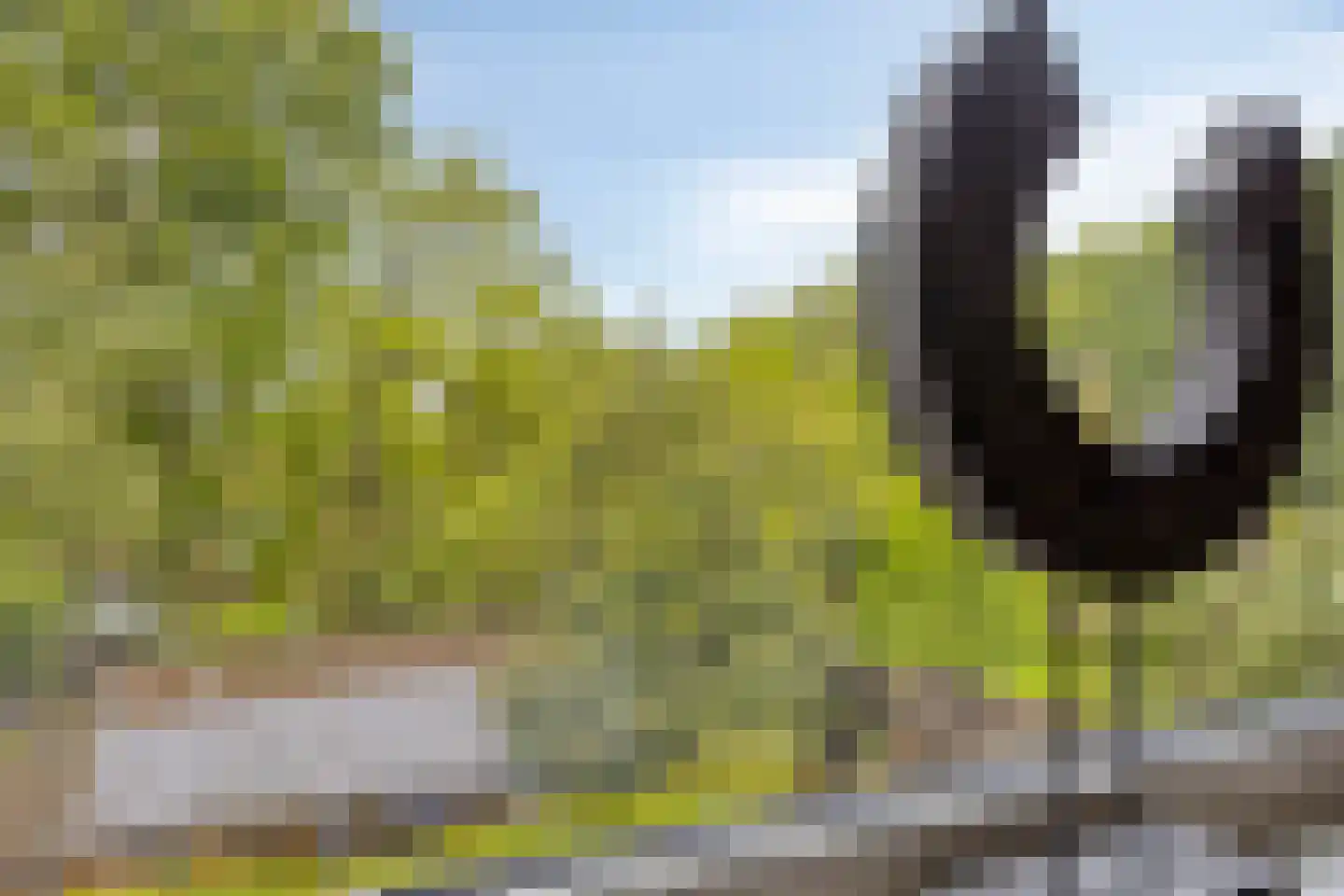 Hoge Veld 11 Aalten thumbnail 20