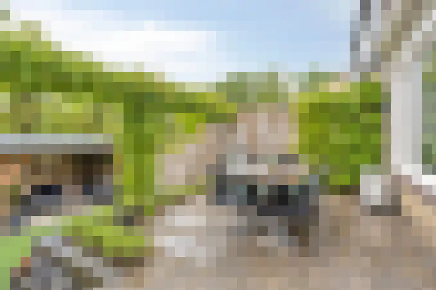Hoge Veld 11 Aalten thumbnail 29