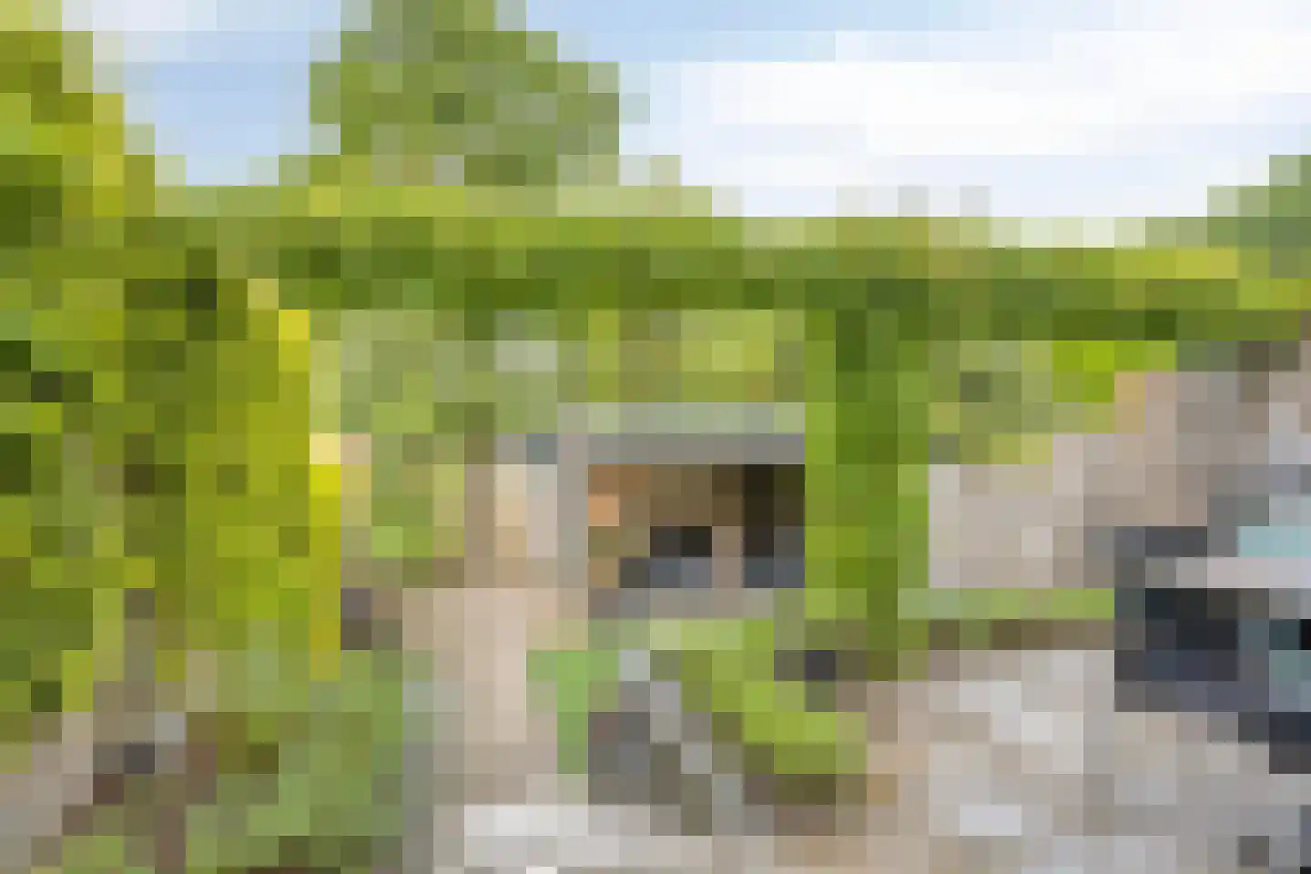 Hoge Veld 11 Aalten thumbnail 30