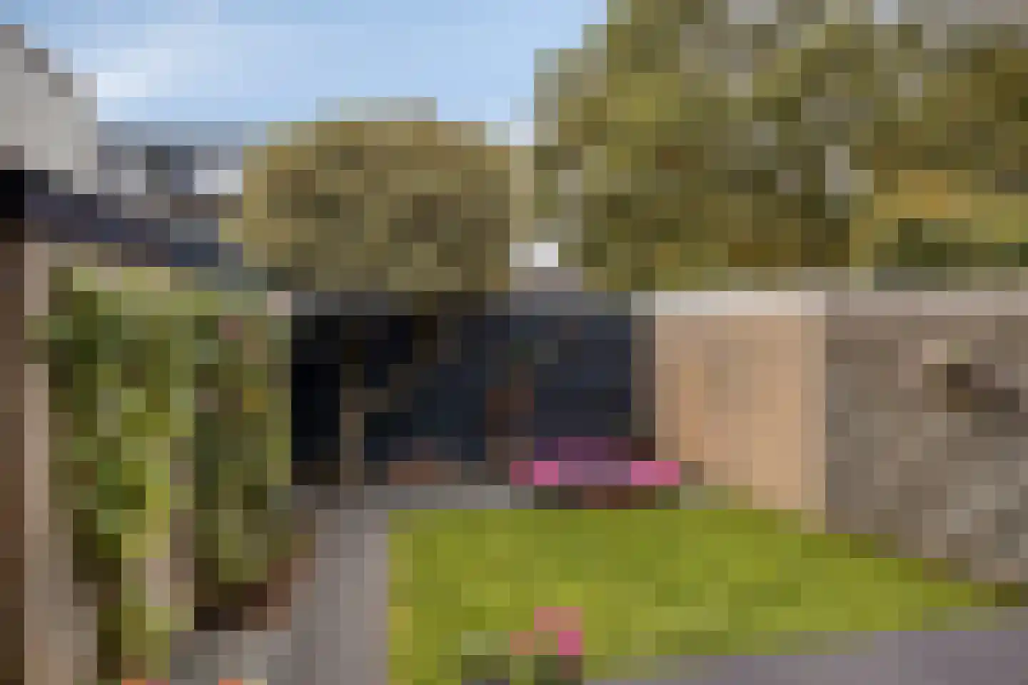 Hoge Veld 61 Aalten thumbnail 30