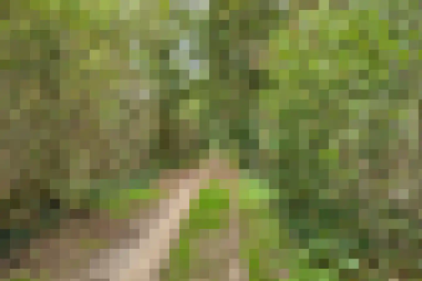 Hoge Veld 61 Aalten thumbnail 33