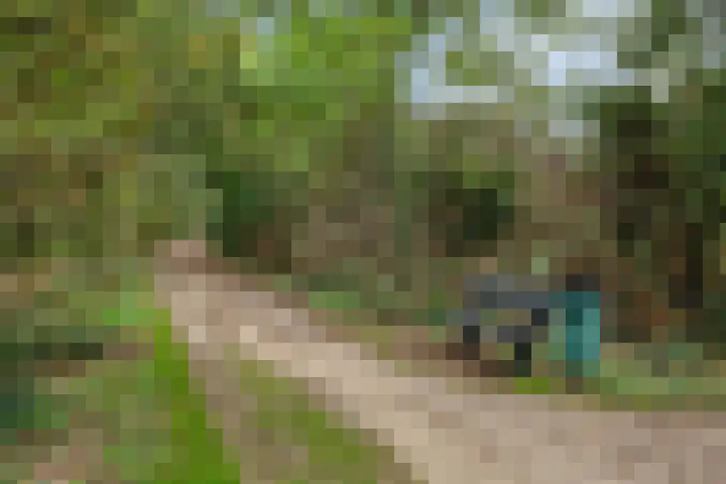 Hoge Veld 61 Aalten thumbnail 34