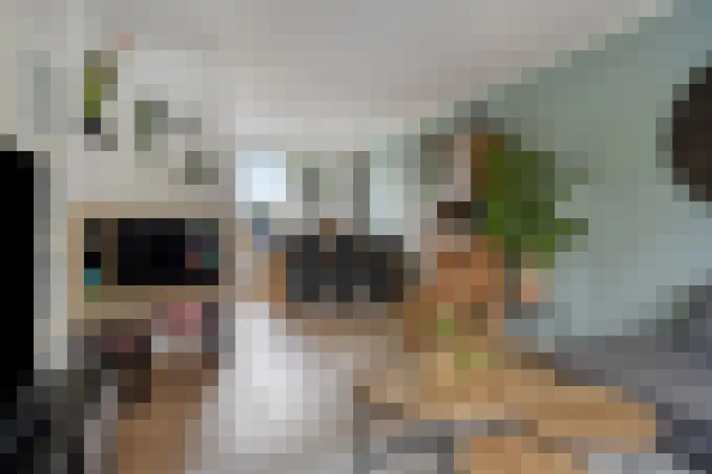 Hoge Veld 61 Aalten thumbnail 5