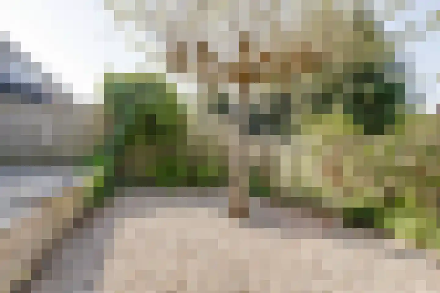 Hoge Veld 7 Aalten thumbnail 45