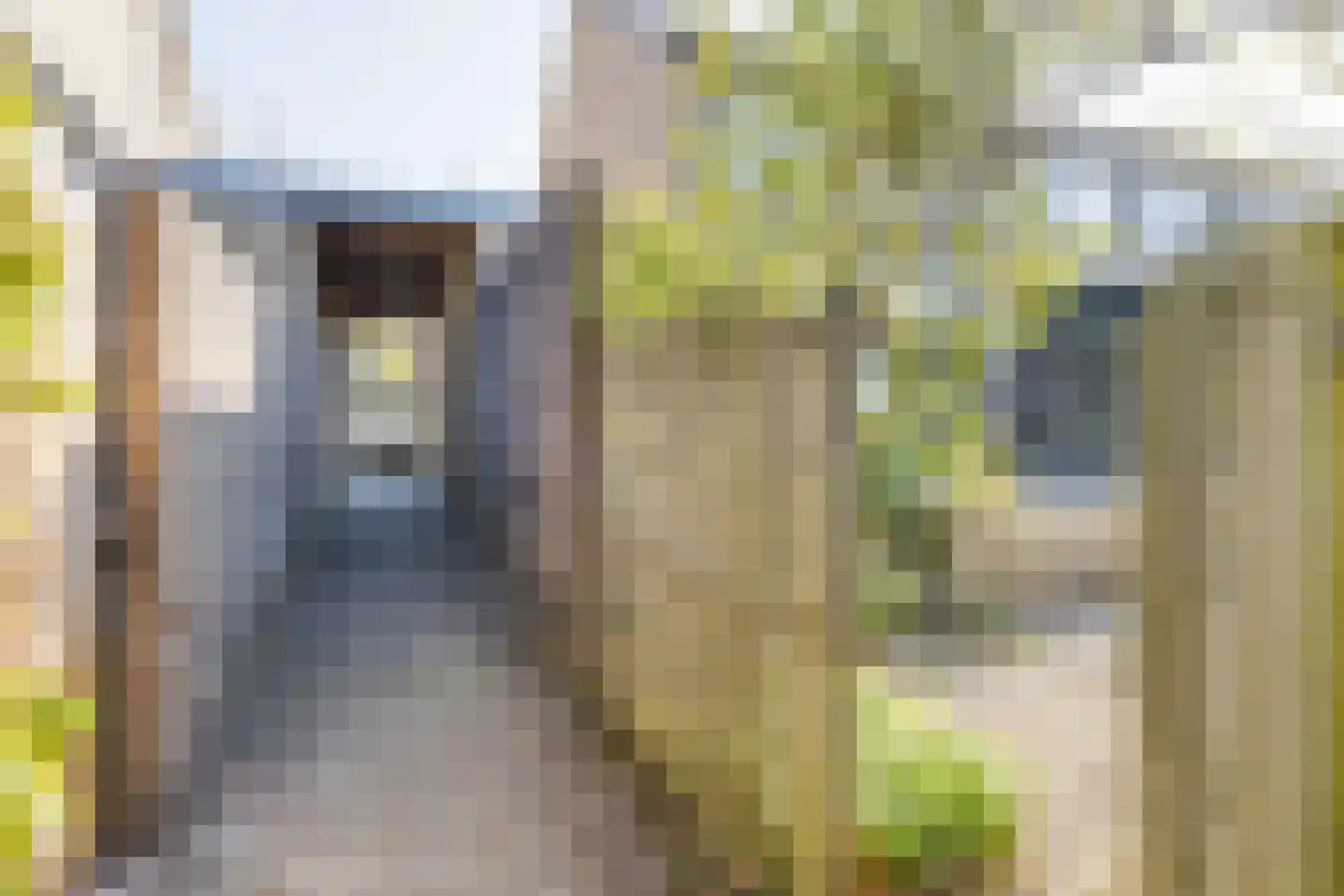 Hoge Veld 7 Aalten thumbnail 50