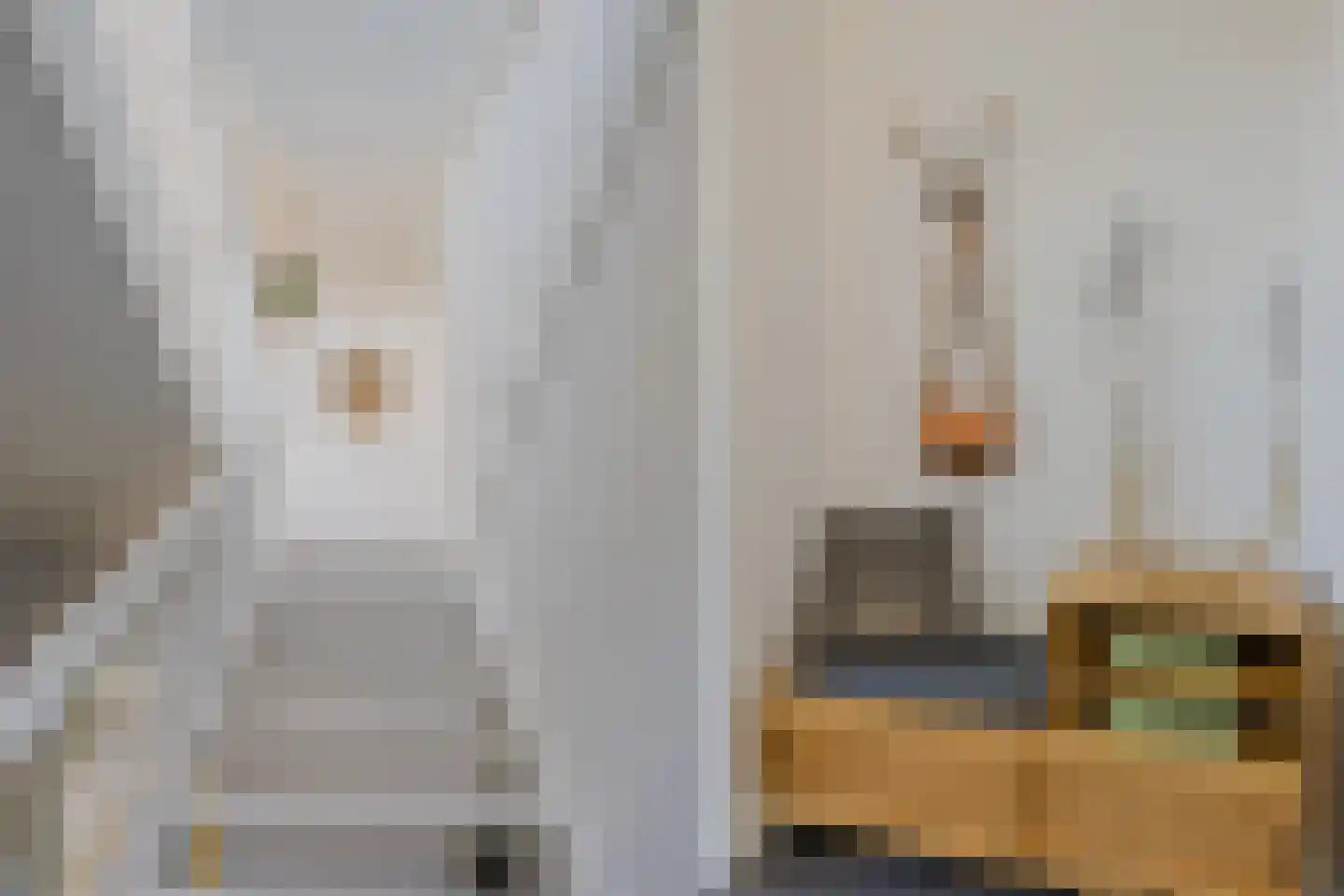 Hoge Vierschaar 7 Beverwijk thumbnail 11