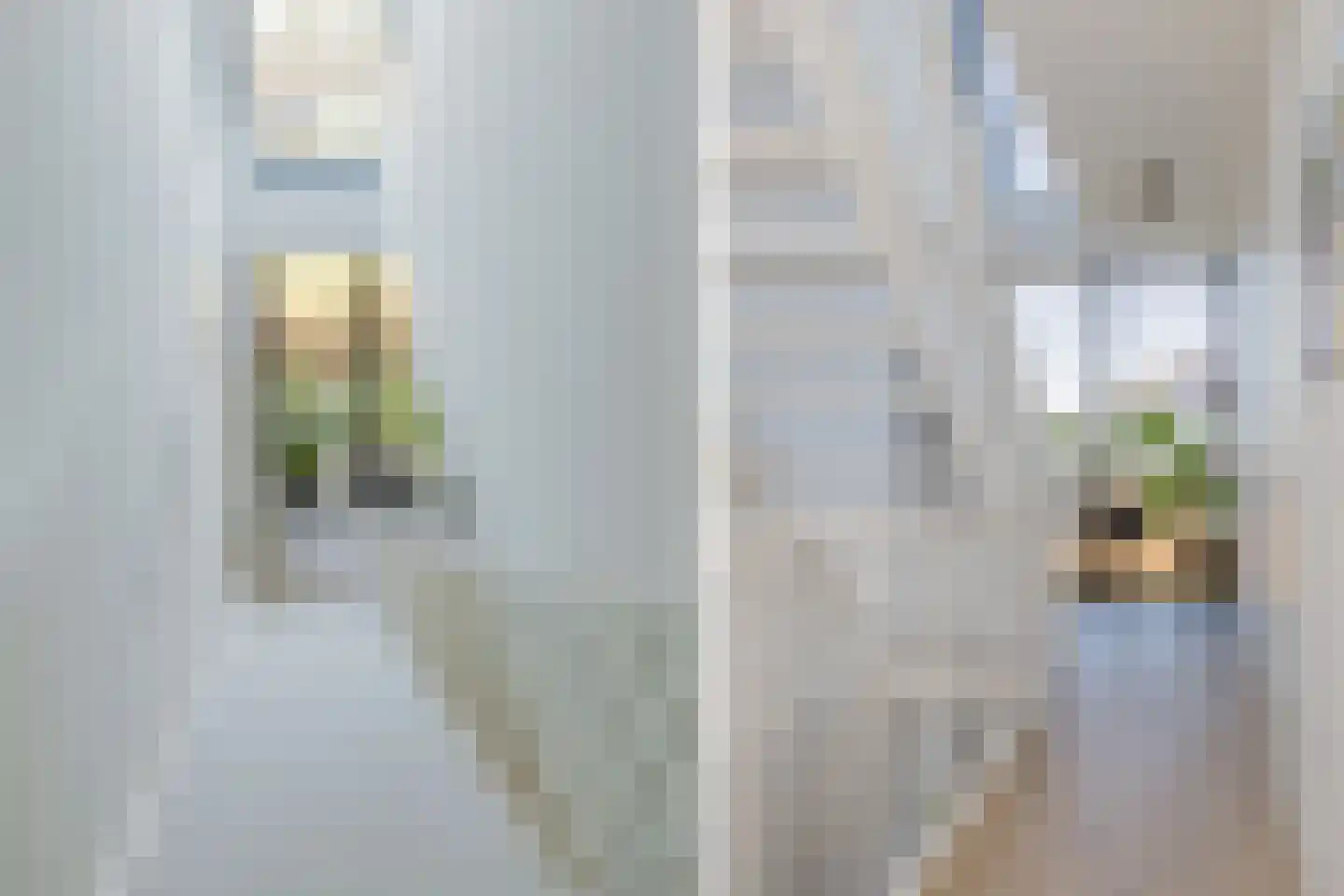Hoge Vierschaar 7 Beverwijk thumbnail 26