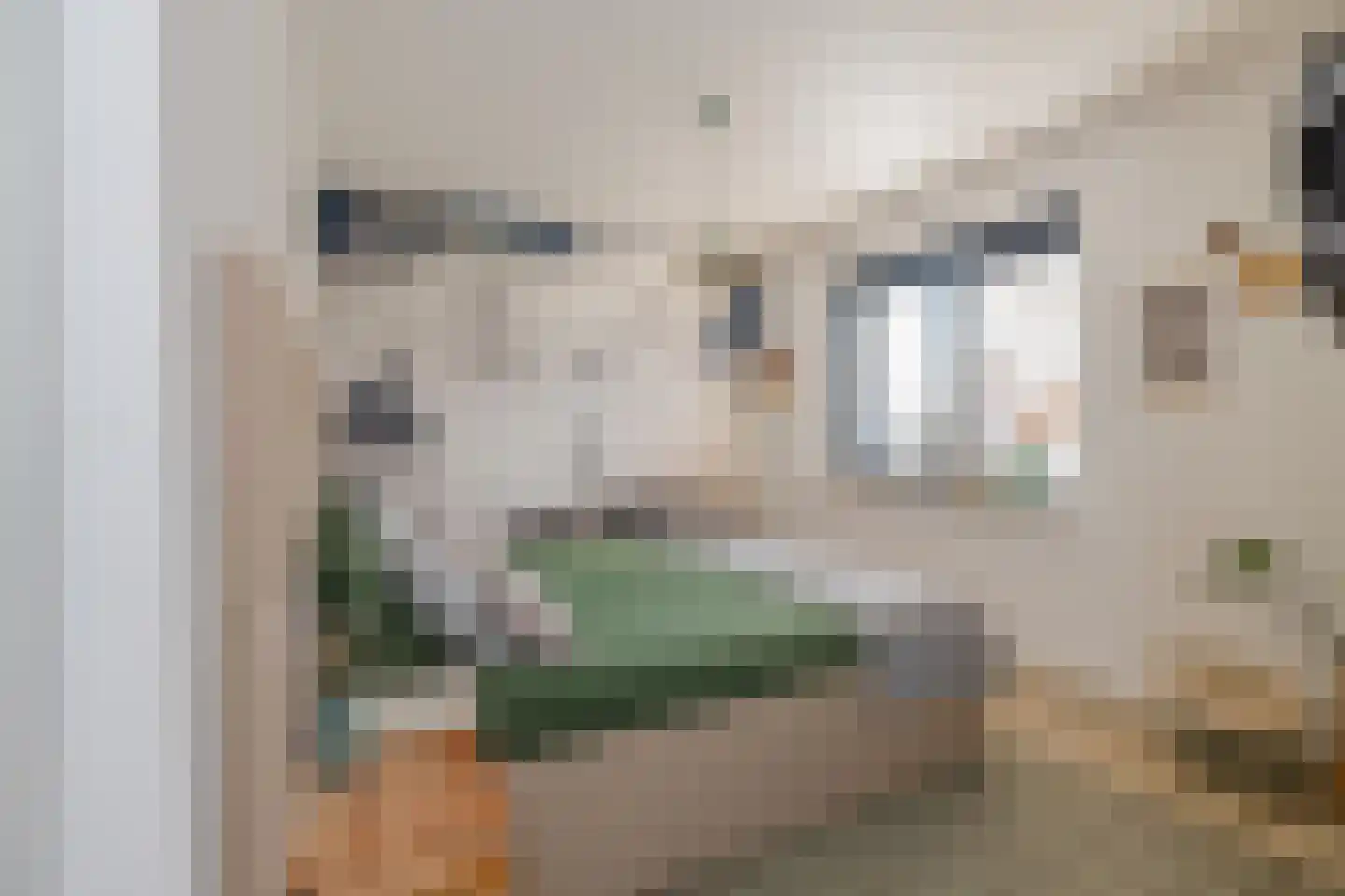 Hoge Vierschaar 7 Beverwijk thumbnail 27