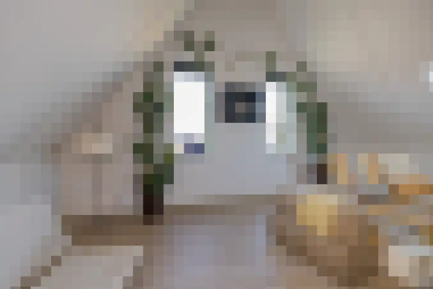 Hoge Vierschaar 7 Beverwijk thumbnail 44