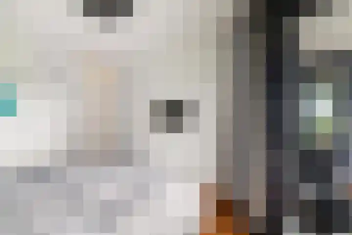 Hoge Vijver 22 Krimpen aan den IJssel thumbnail 17