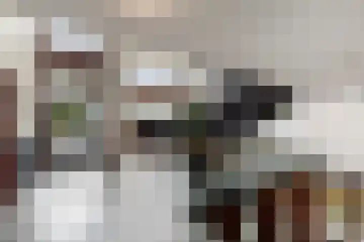 Hoge Vijver 22 Krimpen aan den IJssel thumbnail 27