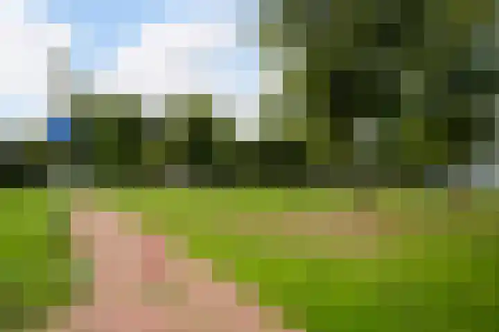 Hoge Vijver 22 Krimpen aan den IJssel thumbnail 32
