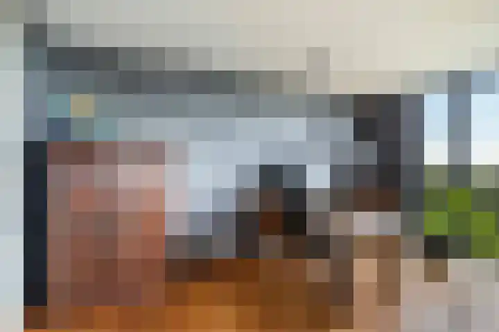 Hoge Vijver 22 Krimpen aan den IJssel thumbnail 5