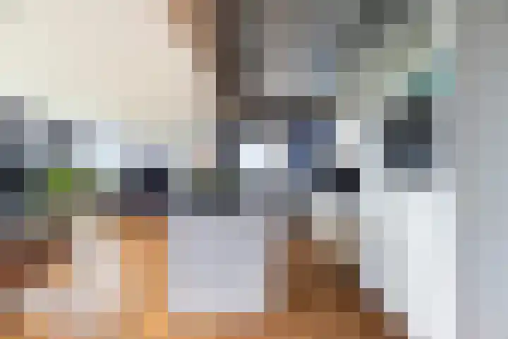 Hoge Vijver 22 Krimpen aan den IJssel thumbnail 7