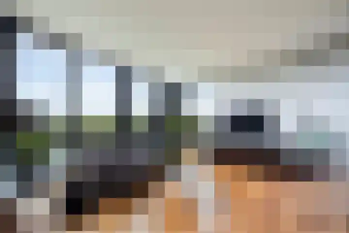Hoge Vijver 22 Krimpen aan den IJssel thumbnail 8