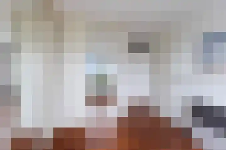 Hoge Vijver 31 Krimpen aan den IJssel thumbnail 18