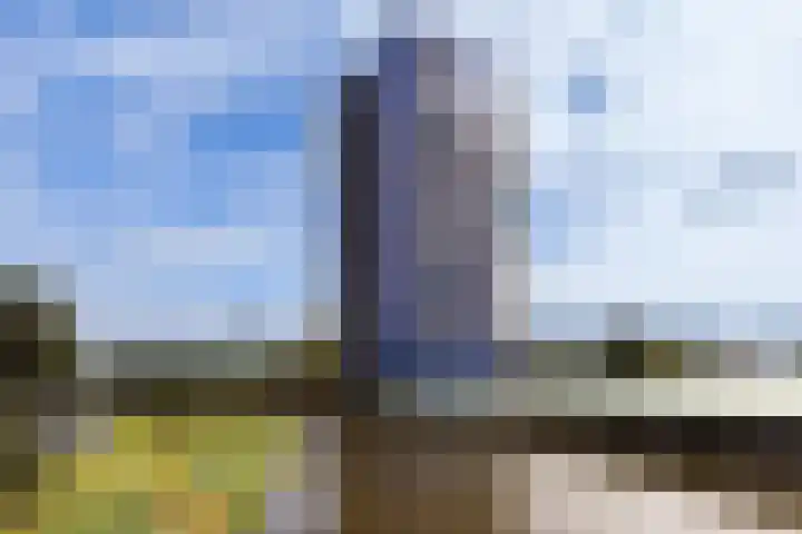 Hoge Vijver 31 Krimpen aan den IJssel thumbnail 30