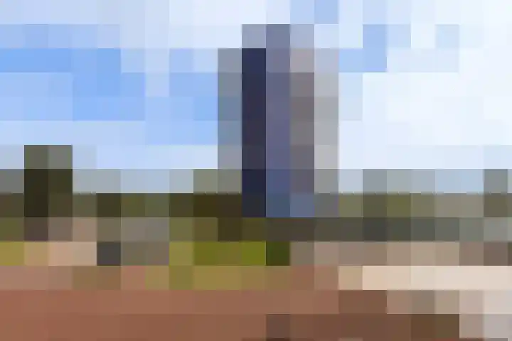 Hoge Vijver 31 Krimpen aan den IJssel thumbnail 31
