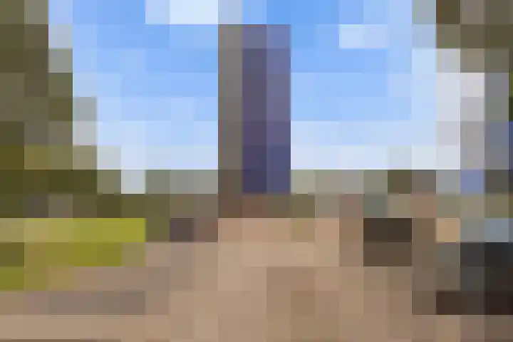 Hoge Vijver 31 Krimpen aan den IJssel thumbnail 32