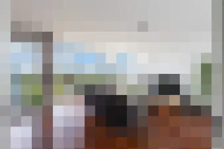 Hoge Vijver 31 Krimpen aan den IJssel thumbnail 4