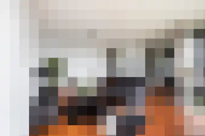 Hoge Vijver 31 Krimpen aan den IJssel thumbnail 6