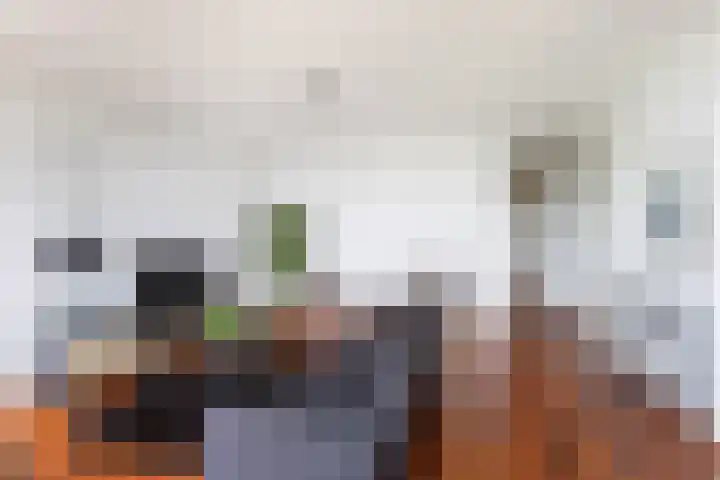Hoge Vijver 31 Krimpen aan den IJssel thumbnail 7
