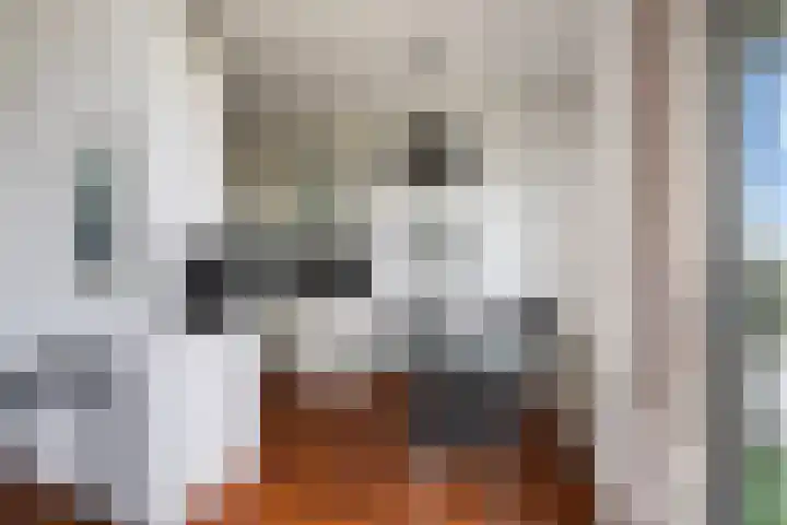 Hoge Vijver 31 Krimpen aan den IJssel thumbnail 8