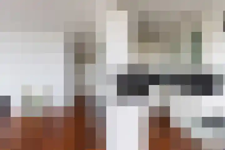 Hoge Vijver 31 Krimpen aan den IJssel thumbnail 9