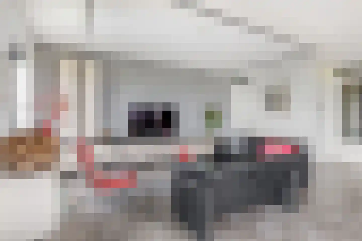 Hoge Vijver 47 Krimpen aan den IJssel thumbnail 14