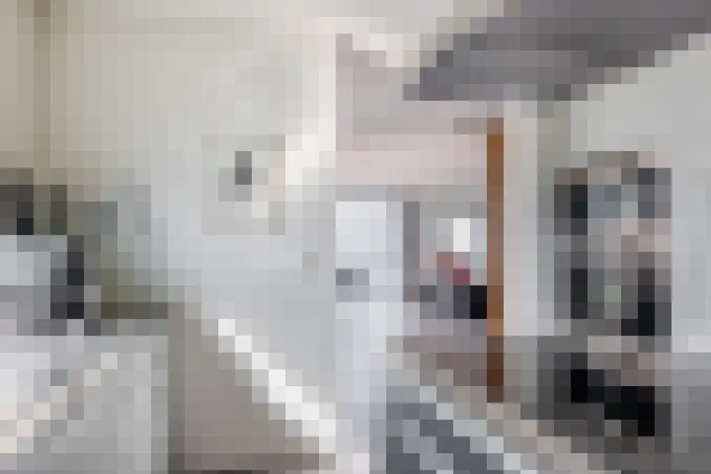 Hoge Vijver 47 Krimpen aan den IJssel thumbnail 15
